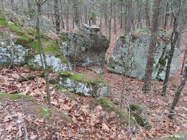 20 Acres of Recreational Land for Sale in Panola, Oklahoma