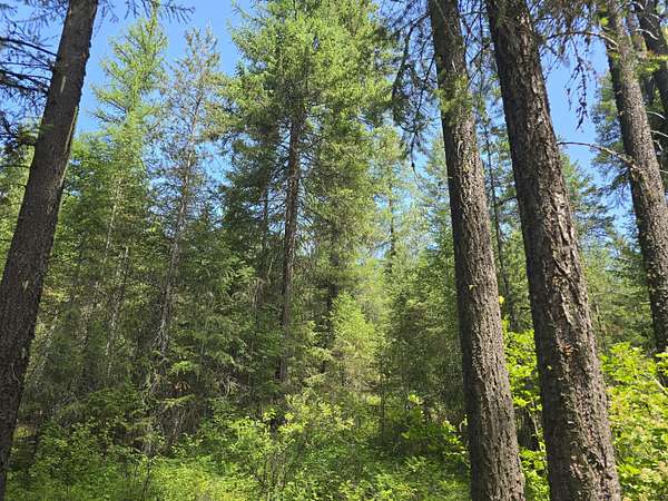 1,747 Acres of Recreational Land for Sale in Loon Lake, Washington