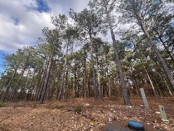 1 Acre of Residential Land for Sale in Broken Bow, Oklahoma