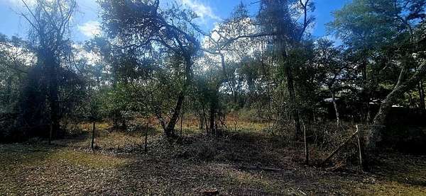 10 Acres of Land for Sale in Old Town, Florida