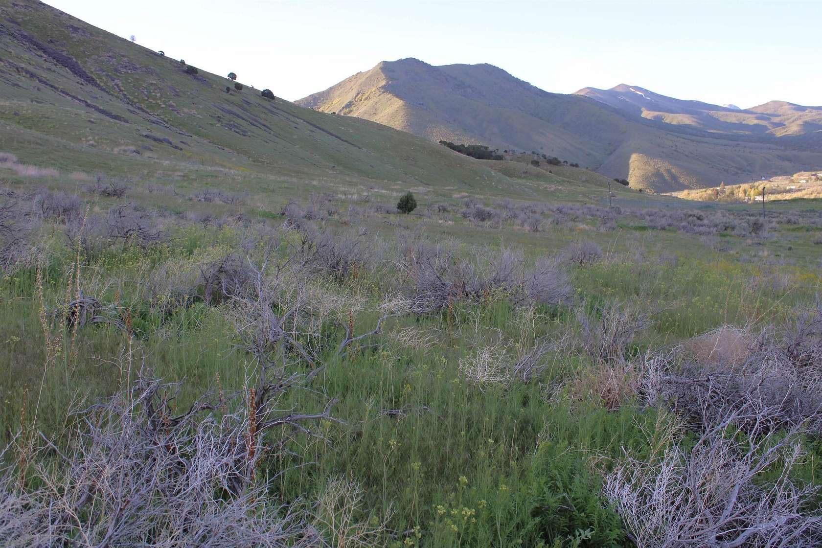 19.5 Acres of Commercial Land for Sale in Pocatello, Idaho