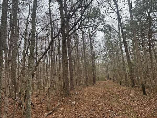 16.2 Acres of Land for Sale in Madison, Georgia