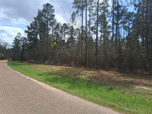 20 Acres of Recreational & Residential Land for Sale in Vinegar Bend, Alabama