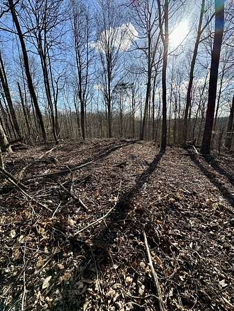 18.3 Acres of Recreational & Residential Land for Sale in Albany, Kentucky