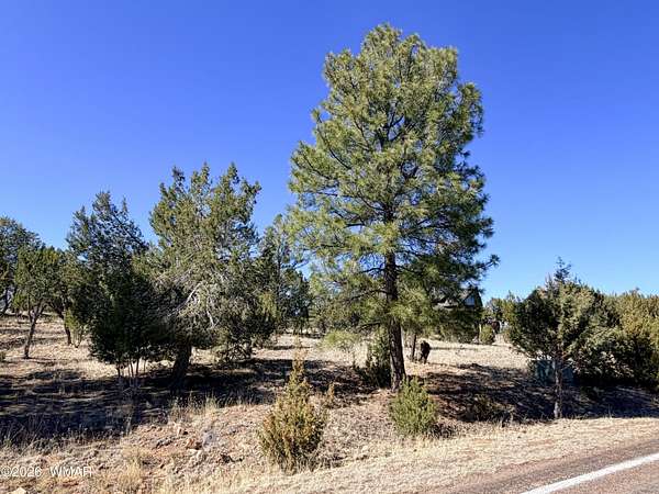 0.85 Acres of Residential Land for Sale in Heber, Arizona