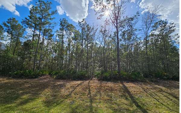 6 Acres of Residential Land for Sale in Jasper, Florida