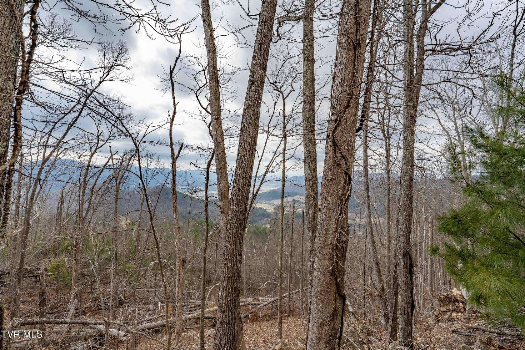 3.6 Acres of Residential Land for Sale in Mountain City, Tennessee