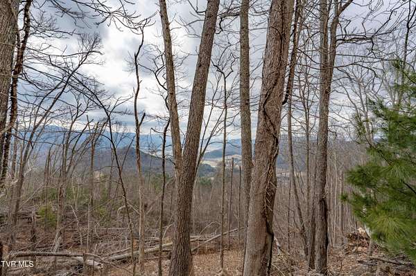 3.6 Acres of Residential Land for Sale in Mountain City, Tennessee