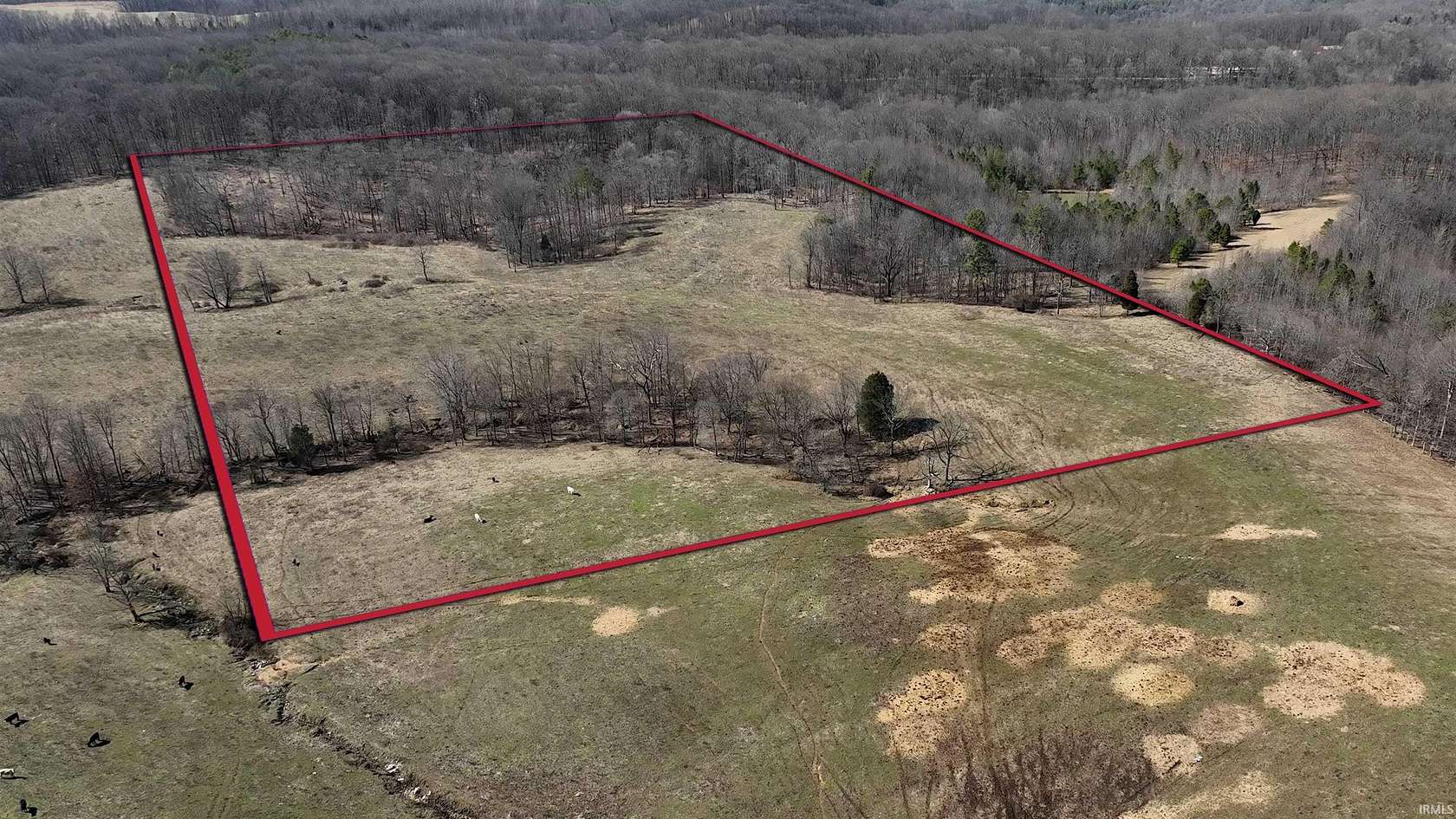 104 Acres of Agricultural & Residential Land for Auction in English, Indiana