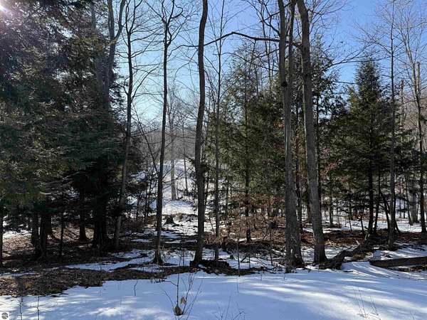 0.95 Acres of Land for Sale in Frankfort, Michigan