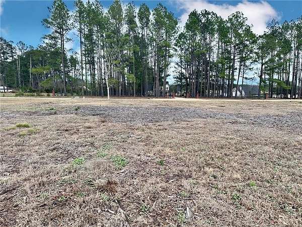 1 Acre of Residential Land for Sale in Blackshear, Georgia