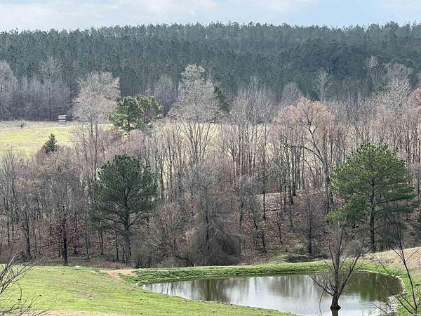 60 Acres of Recreational & Residential Land for Sale in Newhope, Arkansas