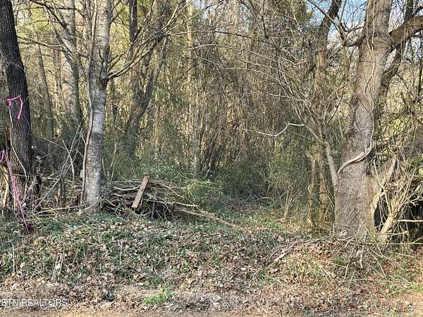 1.28 Acres of Residential Land for Sale in Madisonville, Tennessee