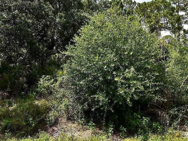 0.23 Acres of Residential Land for Sale in North Port, Florida
