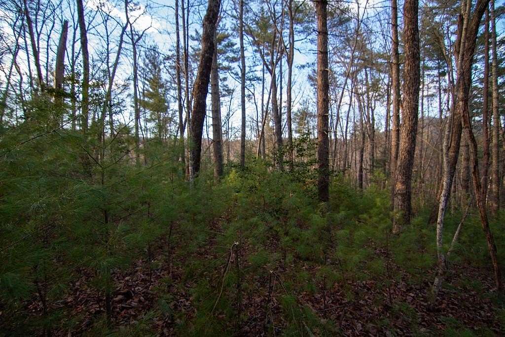 1.75 Acres of Land with Home for Sale in Cherry Log, Georgia