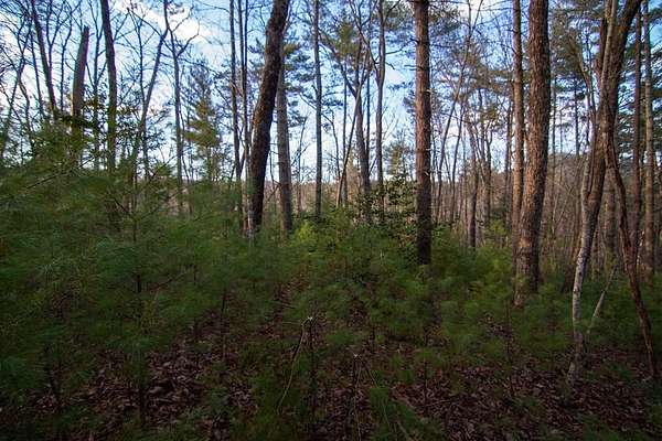 1.75 Acres of Land with Home for Sale in Cherry Log, Georgia