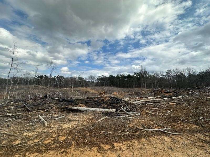 57.2 Acres of Recreational & Residential Land for Sale in Baldwyn, Mississippi