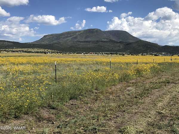 8 Acres of Land for Sale in Nutrioso, Arizona