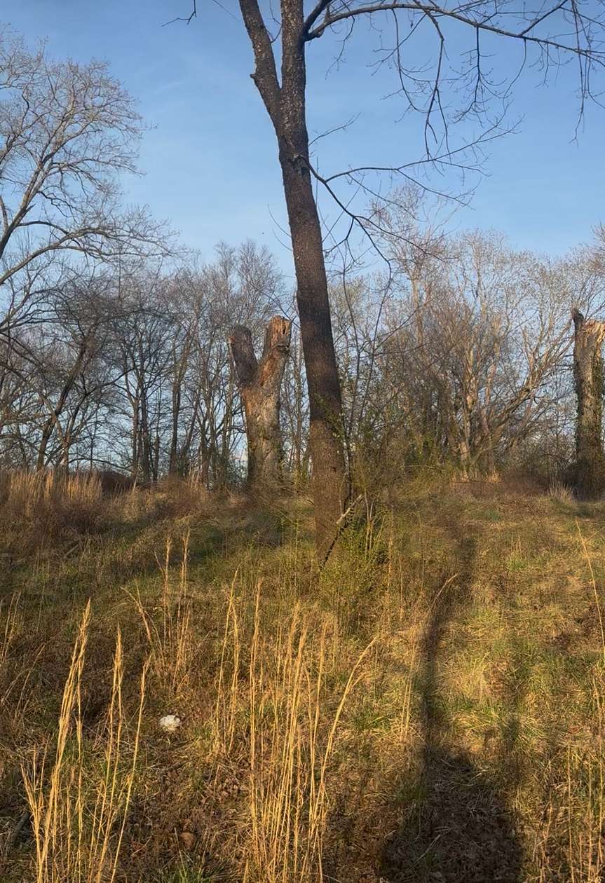 0.9 Acres of Residential Land for Sale in McMinnville, Tennessee