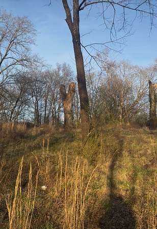 0.9 Acres of Residential Land for Sale in McMinnville, Tennessee