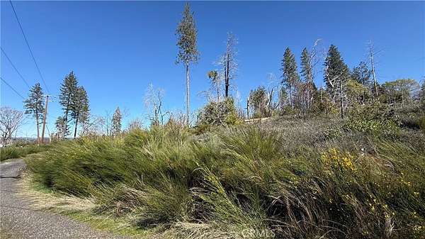 0.47 Acres of Land for Sale in Berry Creek, California