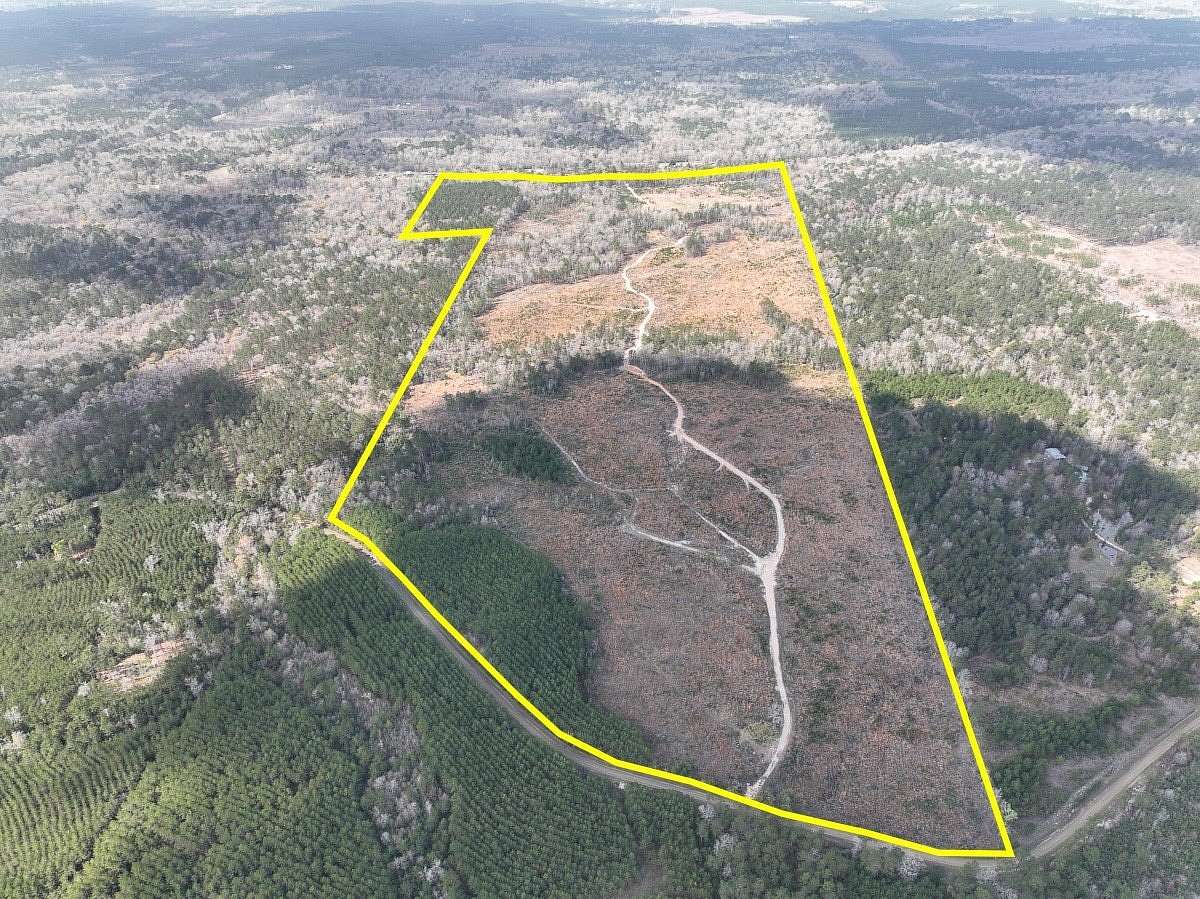 203 Acres of Recreational Land for Sale in Jasper, Texas