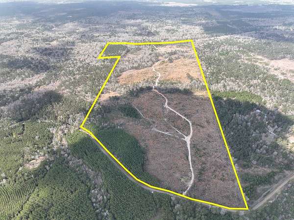 203 Acres of Recreational Land for Sale in Jasper, Texas