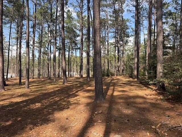 2.1 Acres of Residential Land for Sale in Brookeland, Texas