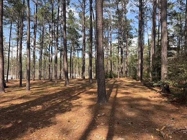 2.1 Acres of Land for Sale in Brookeland, Texas