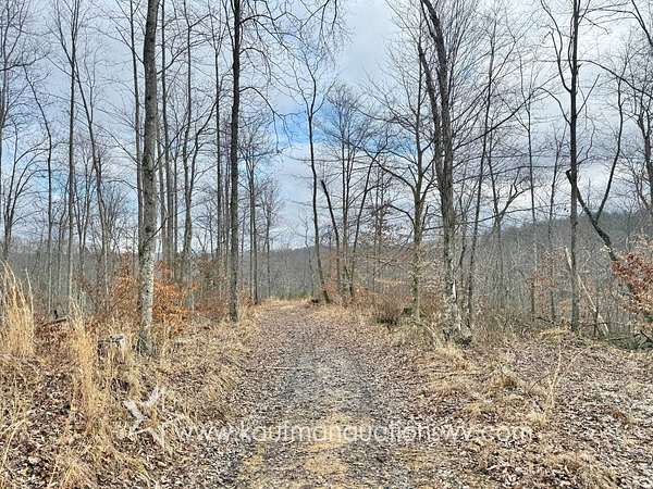 31.8 Acres of Recreational & Residential Land for Sale in Bomont, West Virginia