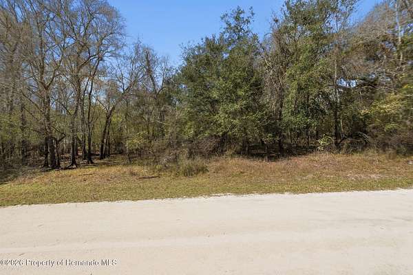 0.7 Acres of Residential Land for Sale in Webster, Florida