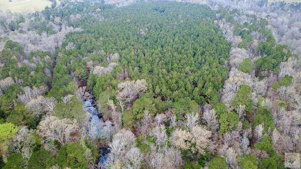 5.54 Acres of Residential Land for Sale in Linden, Texas