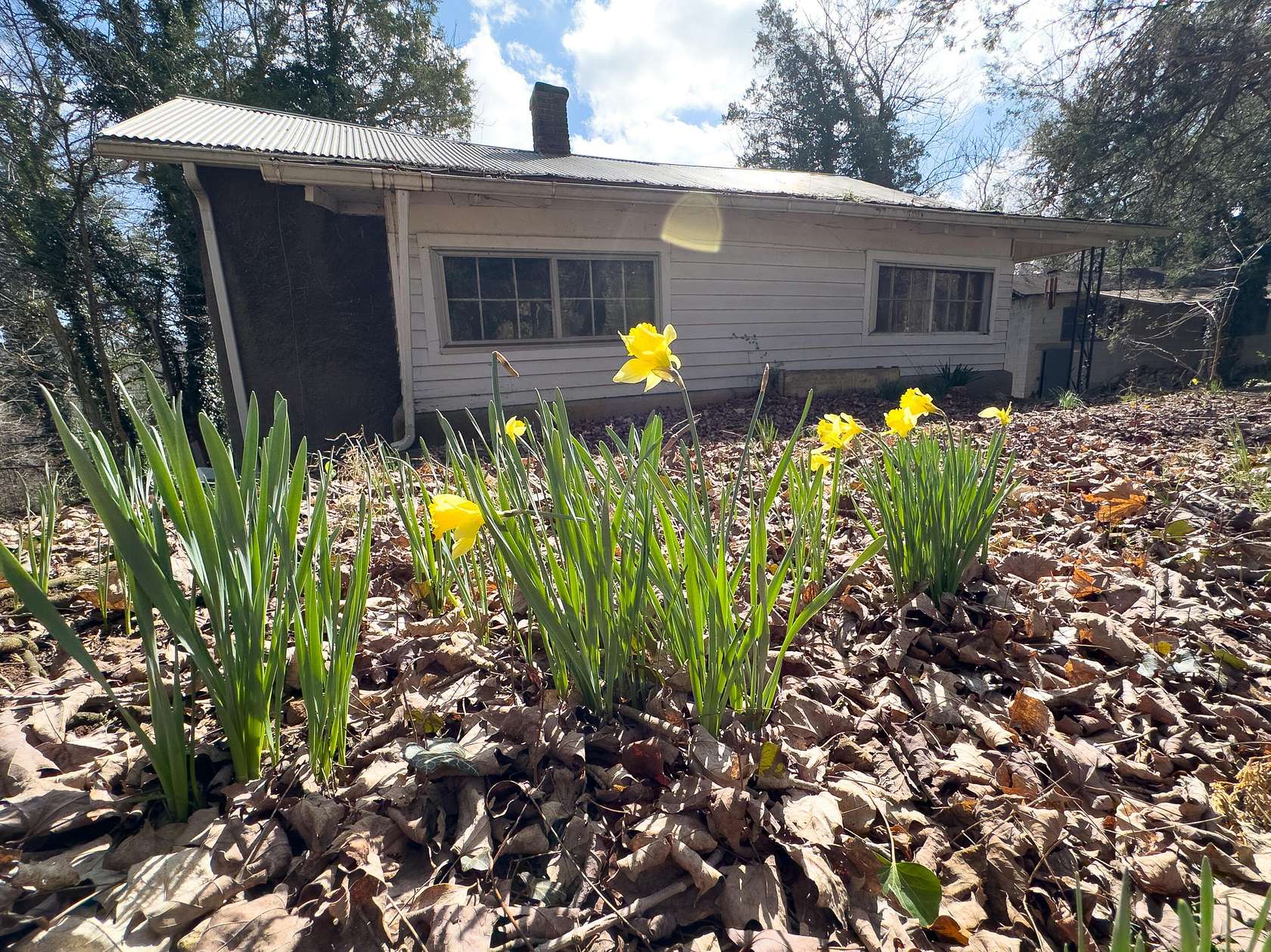 3.78 Acres of Land with Home for Sale in Mount Vernon, Kentucky