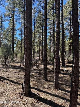 0.36 Acres of Residential Land for Sale in Lakeside, Arizona