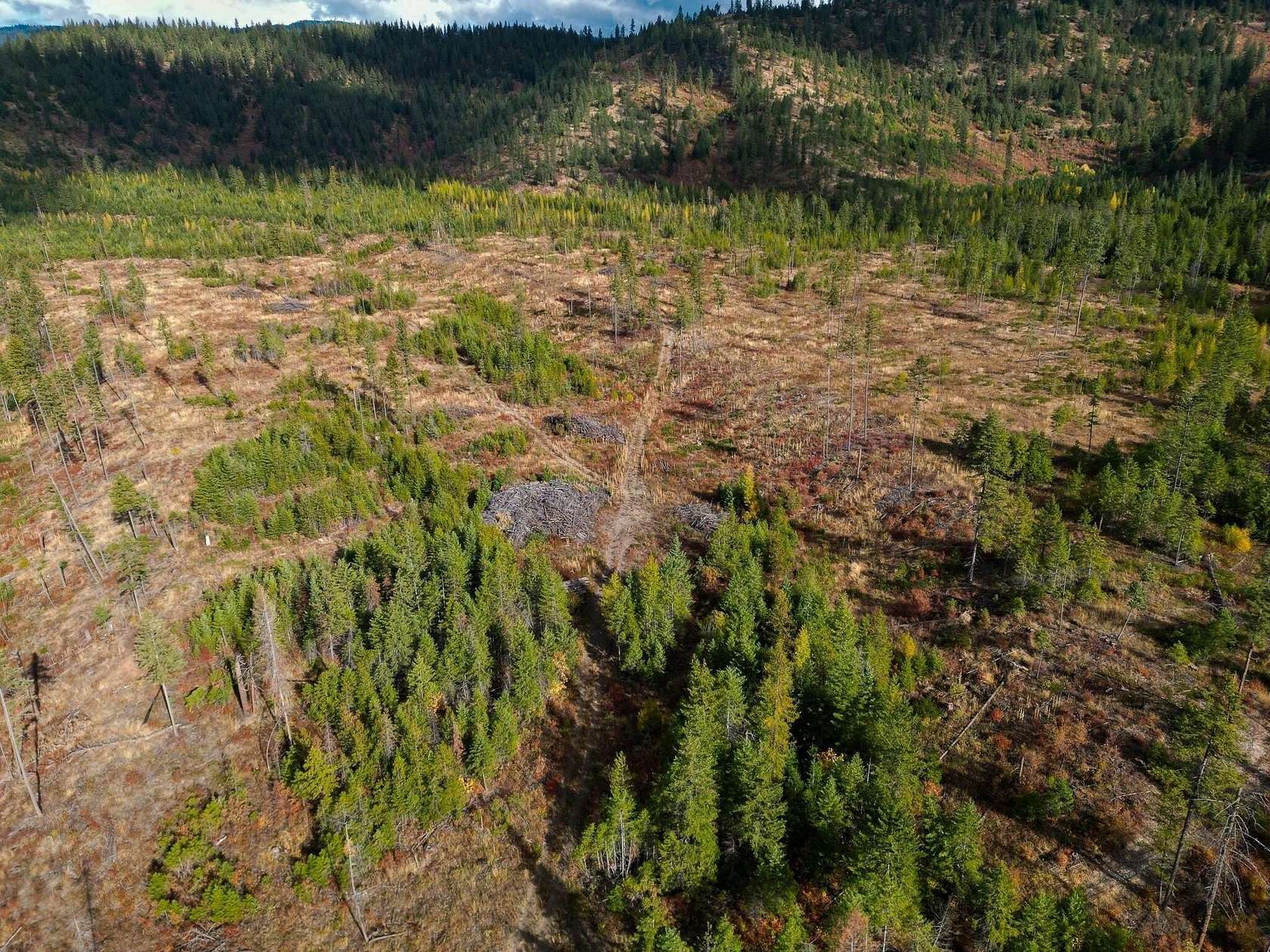 49.6 Acres of Recreational Land for Sale in Chewelah, Washington