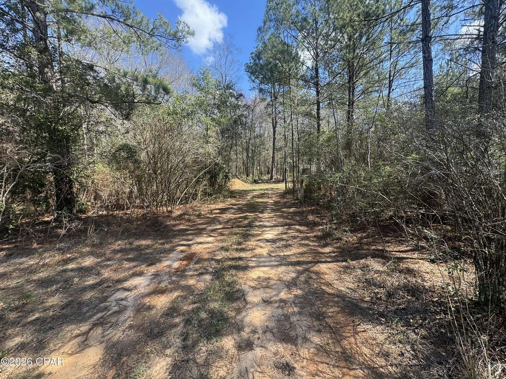 13 Acres of Land for Sale in Westville, Florida