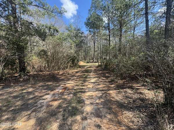 13 Acres of Land for Sale in Westville, Florida