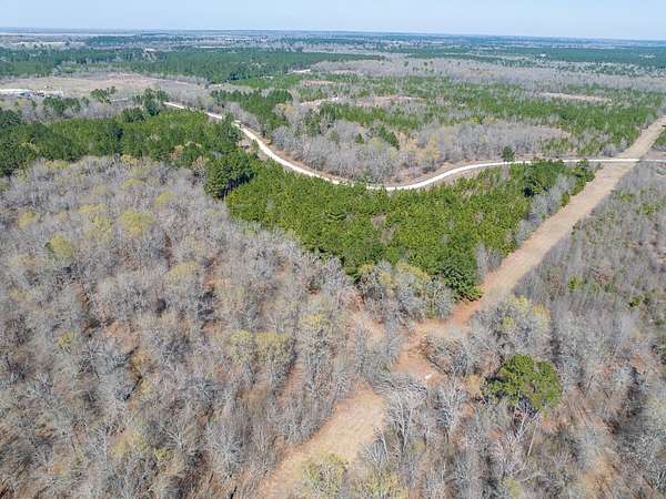 10.1 Acres of Recreational & Residential Land for Sale in Trinity, Texas