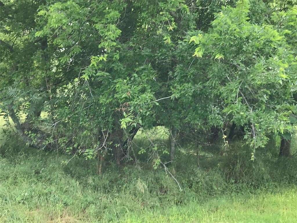 0.3 Acres of Residential Land for Sale in Whitney, Texas