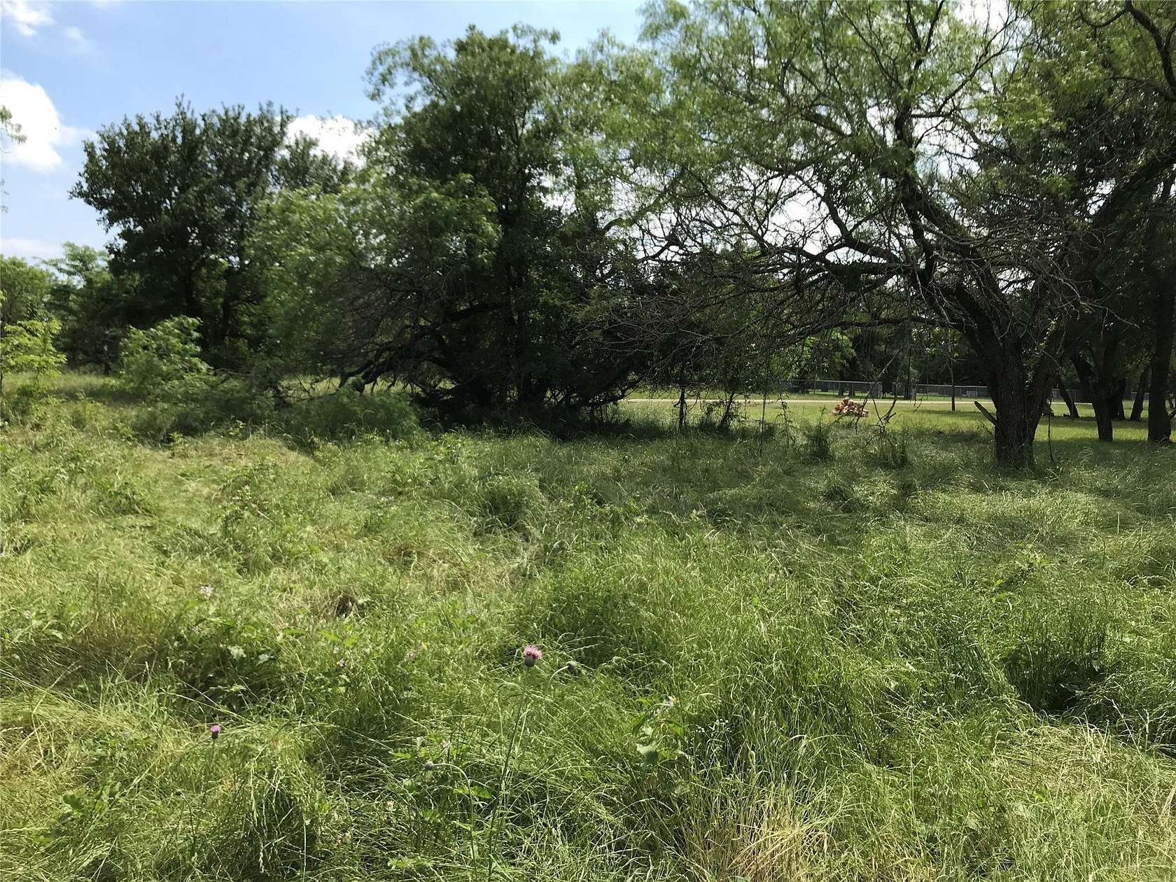 0.3 Acres of Residential Land for Sale in Whitney, Texas