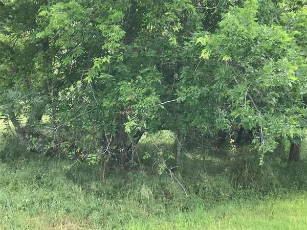 0.3 Acres of Residential Land for Sale in Whitney, Texas