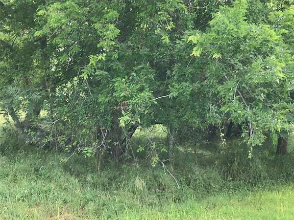 0.3 Acres of Residential Land for Sale in Whitney, Texas