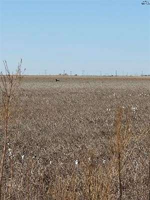 540 Acres of Land for Sale in Haskell, Texas