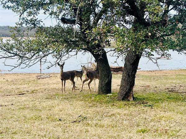 0.33 Acres of Residential Land for Sale in May, Texas
