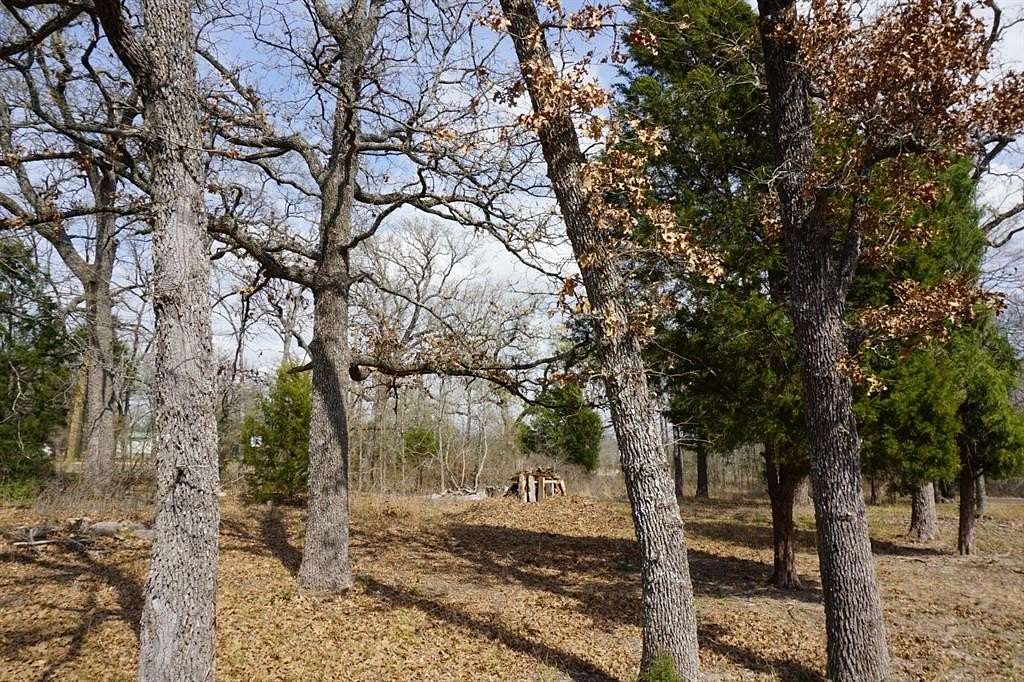 0.3 Acres of Land for Sale in Log Cabin, Texas