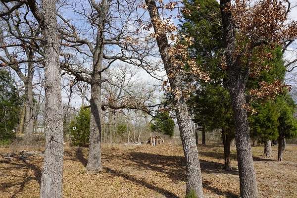 0.3 Acres of Land for Sale in Log Cabin, Texas