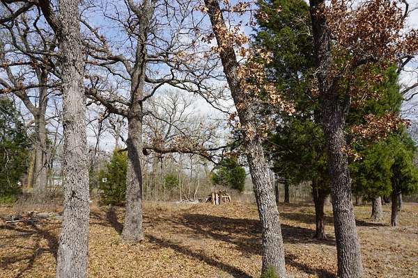 0.3 Acres of Residential Land for Sale in Log Cabin, Texas