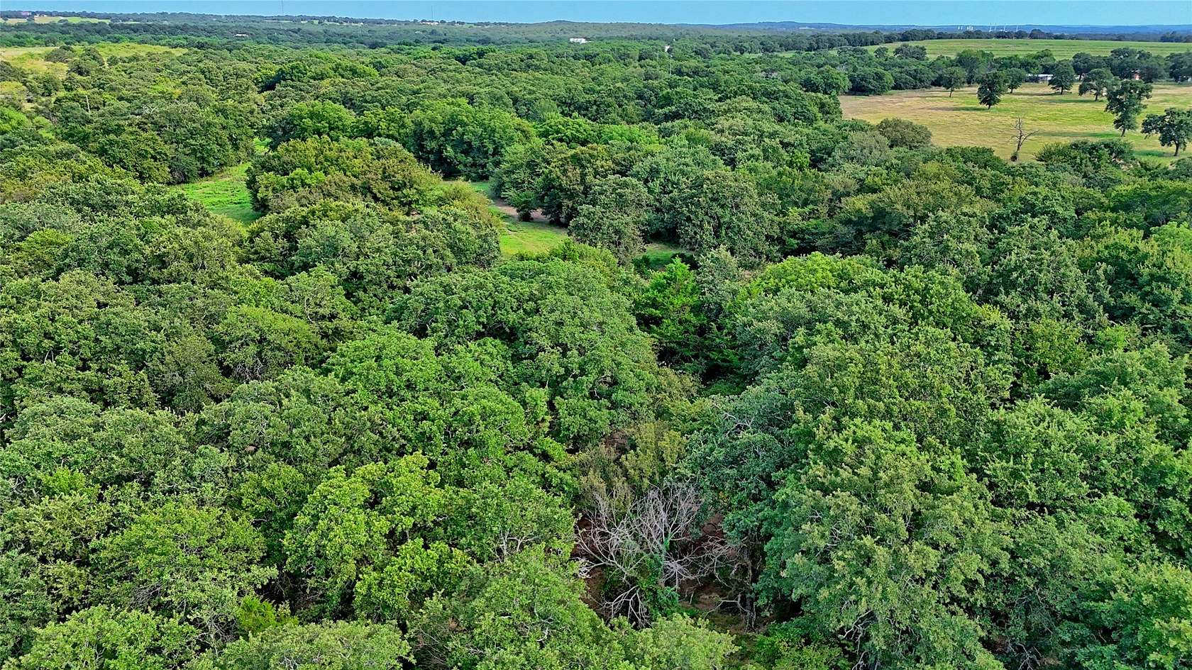 20 Acres of Land for Sale in Bowie, Texas