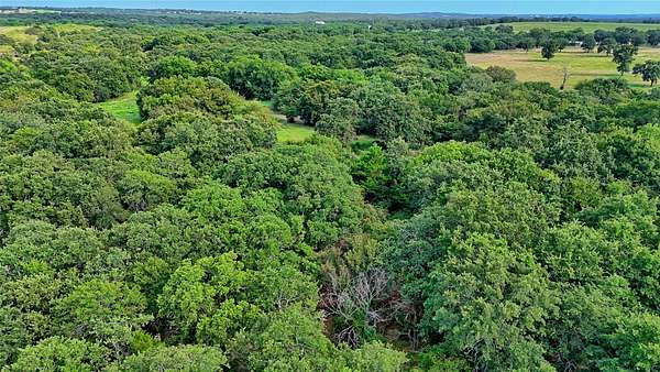 20 Acres of Land for Sale in Bowie, Texas