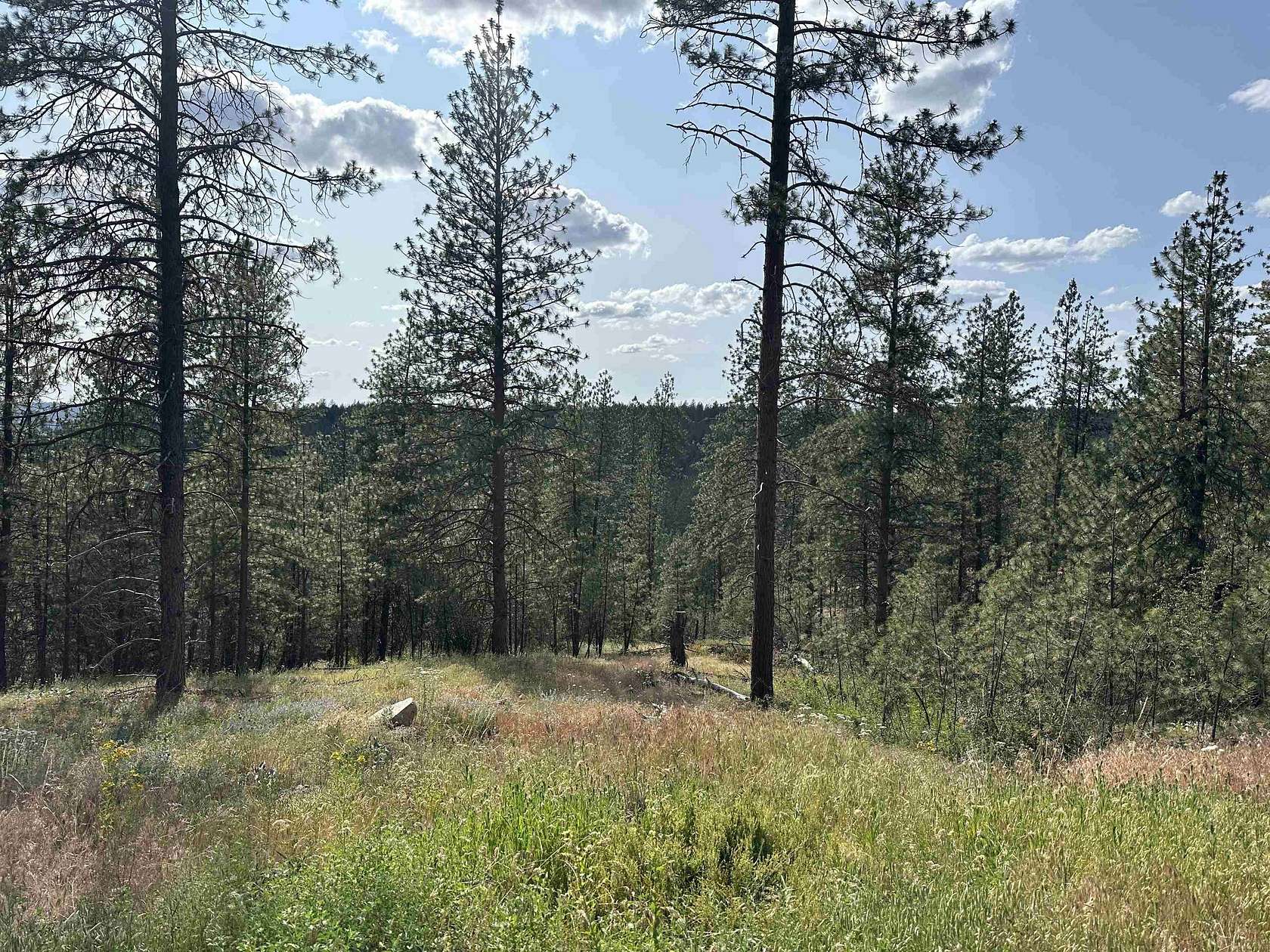 12.3 Acres of Recreational Land for Sale in Deer Park, Washington